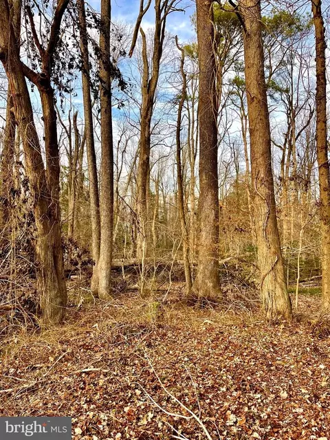 26302 Sennett Rd, Denton, MD 21629 photo 4