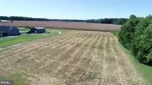 Burrsville Branch Rd, Denton, MD 21629