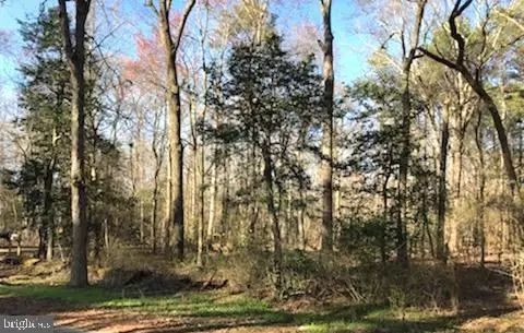 Parcel 11 Newton Road, Preston, MD 21655