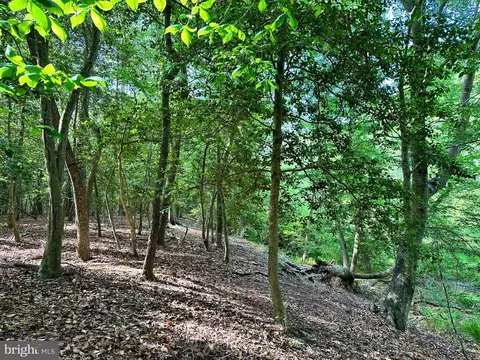 Back Landing Road, Preston, MD 21655