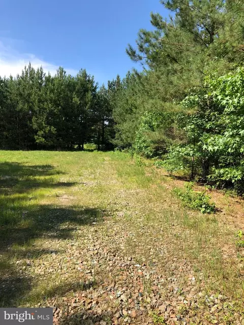 0 Dover Bridge Rd, Bethlehem, MD 21609 photo 4