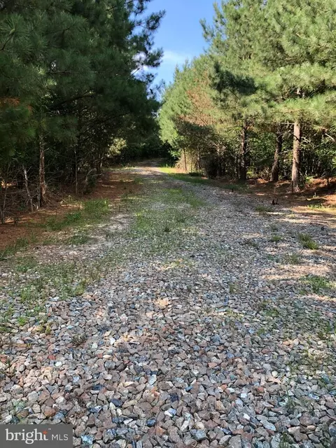 0 Dover Bridge Rd, Bethlehem, MD 21609 photo 3