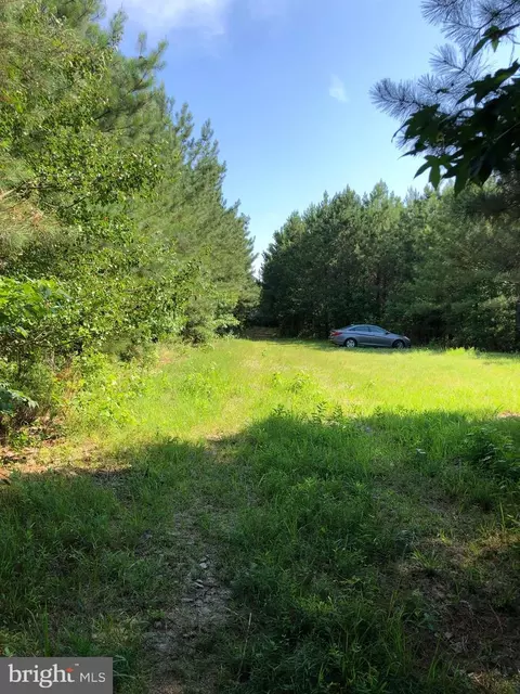 0 Dover Bridge Rd, Bethlehem, MD 21609 photo 5