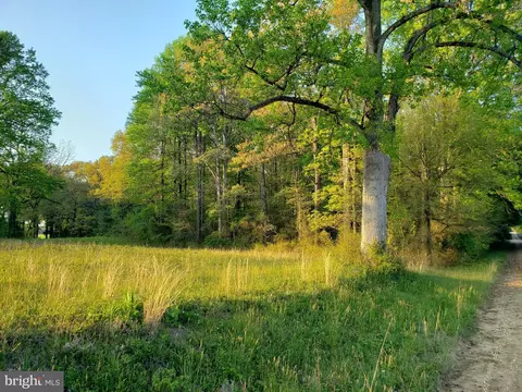 Cranfield Road, Denton, MD 21629 photo 6