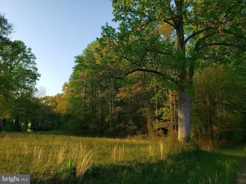 Cranfield Road, Denton, MD 21629 photo 8