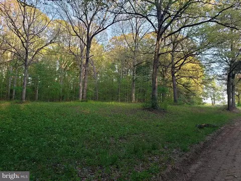Cranfield Road, Denton, MD 21629 photo 7