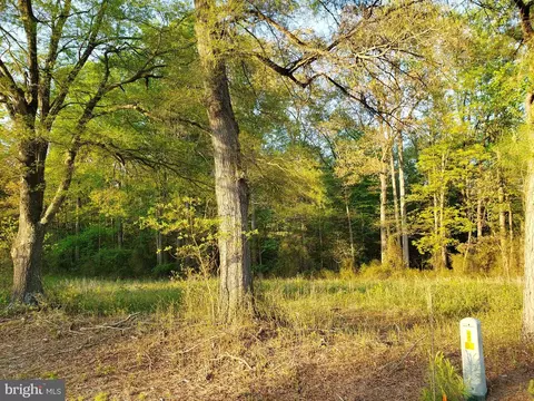 Cranfield Road, Denton, MD 21629 photo 9