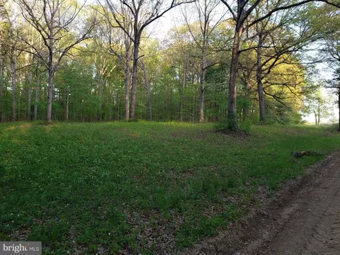 Cranfield Road, Denton, MD 21629 photo 13
