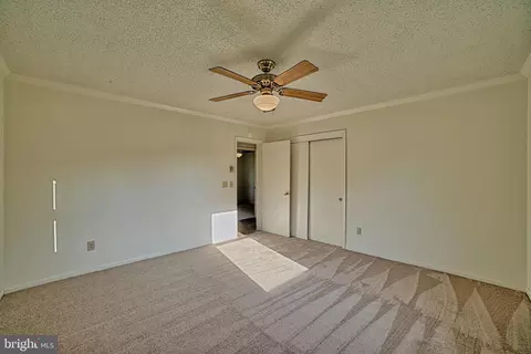 8157 Arch Dr, Denton, MD 21629 photo 34