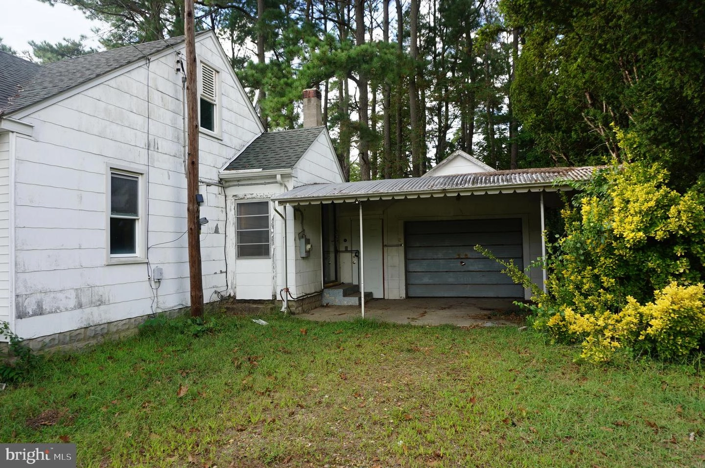 703 Camp Rd, Denton, MD 21629 photo 3