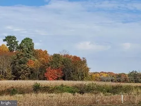 24090 Craft Rd, Preston, MD 21655 photo 5