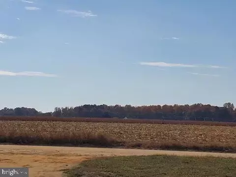 24090 Craft Rd, Preston, MD 21655 photo 6