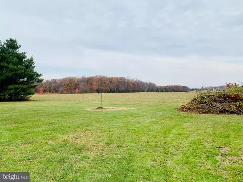 25586 Hignutt Rd, Denton, MD 21629 photo 8