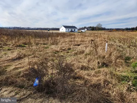 Craft Road, Preston, MD 21655 photo 3