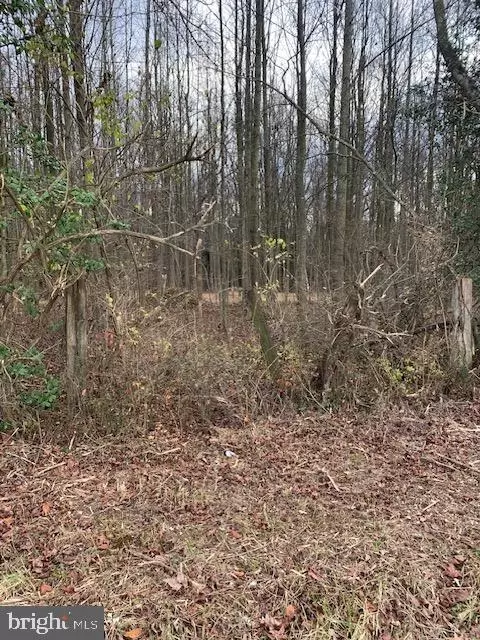 Trunk Line Road, Henderson, MD 21640
