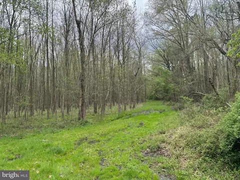 View/Area - 4439 Bethlehem Rd, Preston, MD 21655 photo 3 of 8