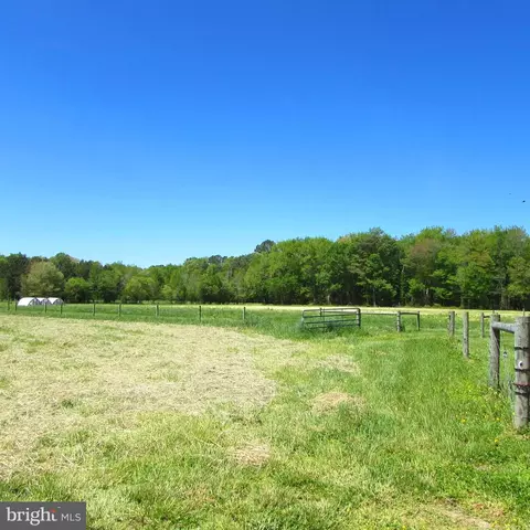 Exterior - 4014 Poplar Neck Rd, Preston, MD 21655 photo 8 of 10