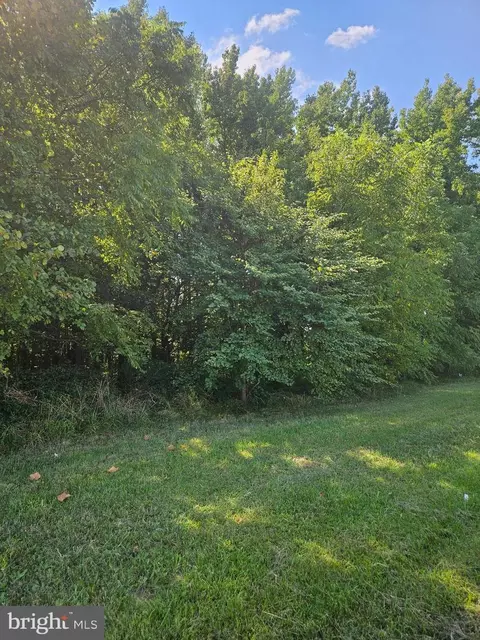 E Sixth St, Ridgely, MD 21660 photo 3