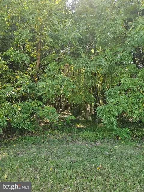 E Sixth St, Ridgely, MD 21660 photo 5