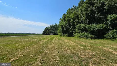 12760 Cow Barn Rd, Ridgely, MD 21660 photo 8