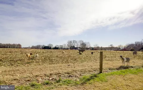 3297 Gallagher Rd, Preston, MD 21655 photo 48