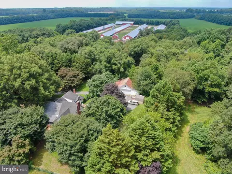 View/Area - 5890 Harmony Rd, Preston, MD 21655 photo 3 of 3