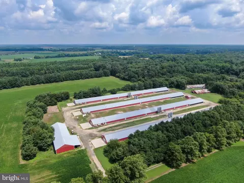 5890 Harmony Rd, Preston, MD 21655