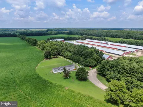 View/Area - 5890 Harmony Rd, Preston, MD 21655 photo 2 of 3