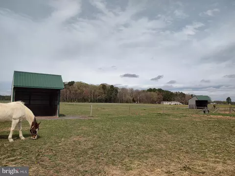 Other - 26268 Baker Rd, Denton, MD 21629 photo 20 of 34