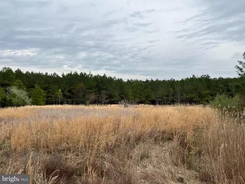 Dover Bridge Road, Preston, MD 21655 photo 17