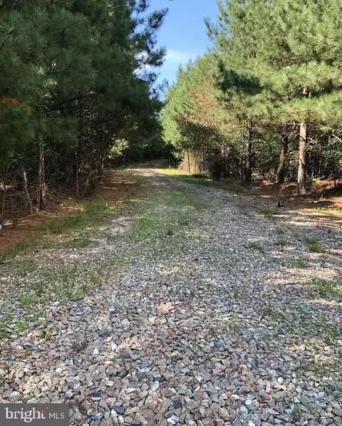 Dover Bridge Road, Preston, MD 21655 photo 9