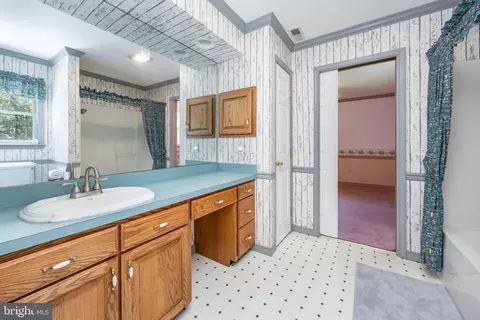Bath - 8534 Briar Patch Dr, Denton, MD 21629 photo 11 of 11