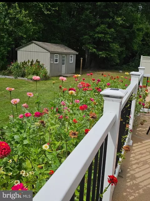 Other - 8534 Briar Patch Dr, Denton, MD 21629 photo 4 of 36