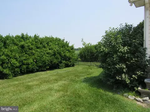 3590 Choptank Rd, Preston, MD 21655 photo 36