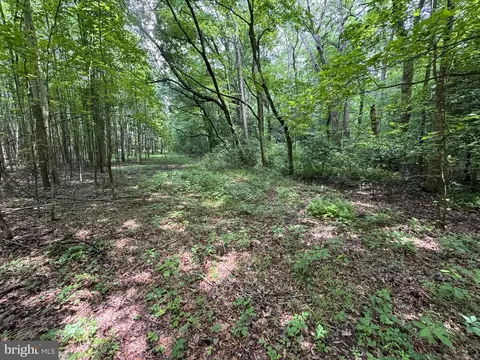 Trunk Line Road, Henderson, MD 21640