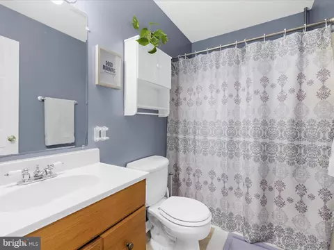 Bath - 113 Lednum Ave, Preston, MD 21655 photo 3 of 3