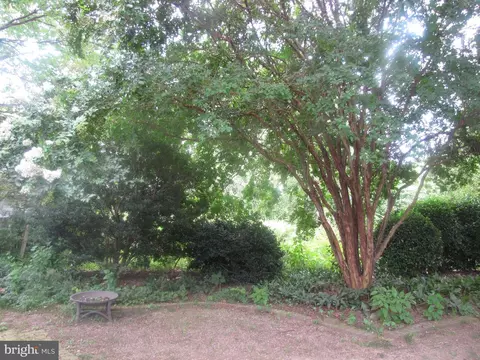 148 Main St, Preston, MD 21655 photo 38