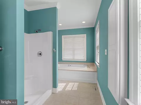 Bath - 3485 Gallagher Rd, Preston, MD 21655 photo 3 of 5
