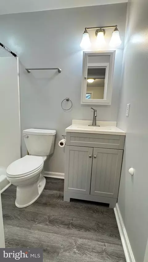 Bath - 318 Carter Ave, Denton, MD 21629 photo 4 of 4