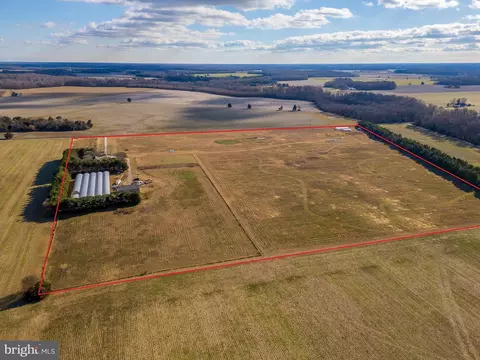 View/Area - 7904 Clark Rd, Denton, MD 21629 photo 9 of 12