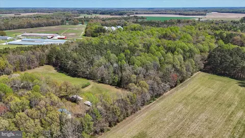 7805 Dyer Rd, Denton, MD 21629 photo 43