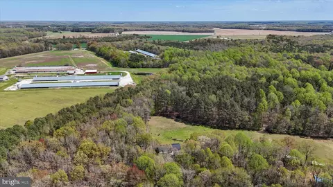 7805 Dyer Rd, Denton, MD 21629 photo 42