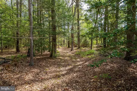 322 Deep Shore Rd, Denton, MD 21629 photo 17
