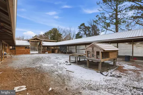 Exterior - 20915 Dover Bridge Rd, Preston, MD 21655 photo 8 of 9