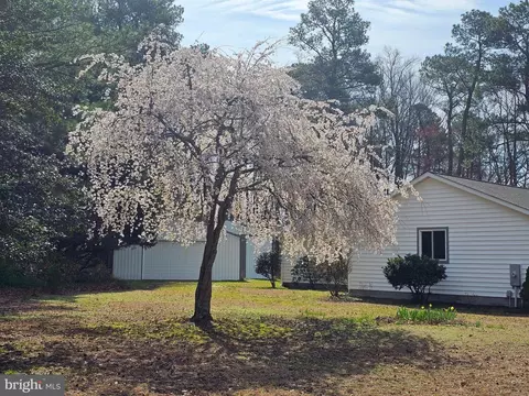 Exterior - 3547 Prchal Rd, Preston, MD 21655 photo 15 of 16