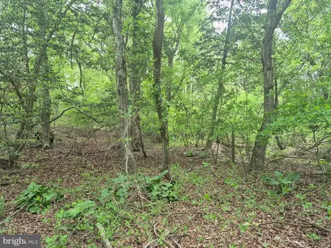 Other - 9472 Quail Run Rd, Denton, MD 21629 photo 7 of 7