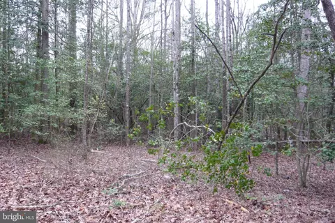0 Trunk Rd, Henderson, MD 21640 photo 10