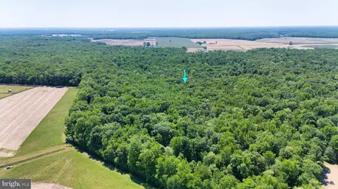 0 Trunk Rd, Henderson, MD 21640 photo 5
