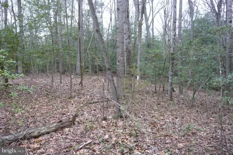 0 Trunk Rd, Henderson, MD 21640 photo 11
