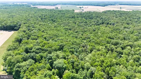0 Trunk Rd, Henderson, MD 21640 photo 6